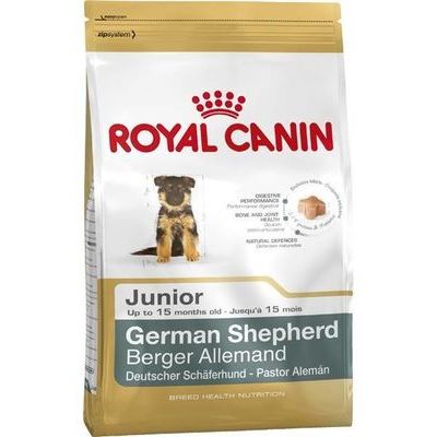 German shepherd on sale junior