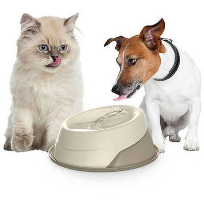 Trevi pet water fountain hotsell